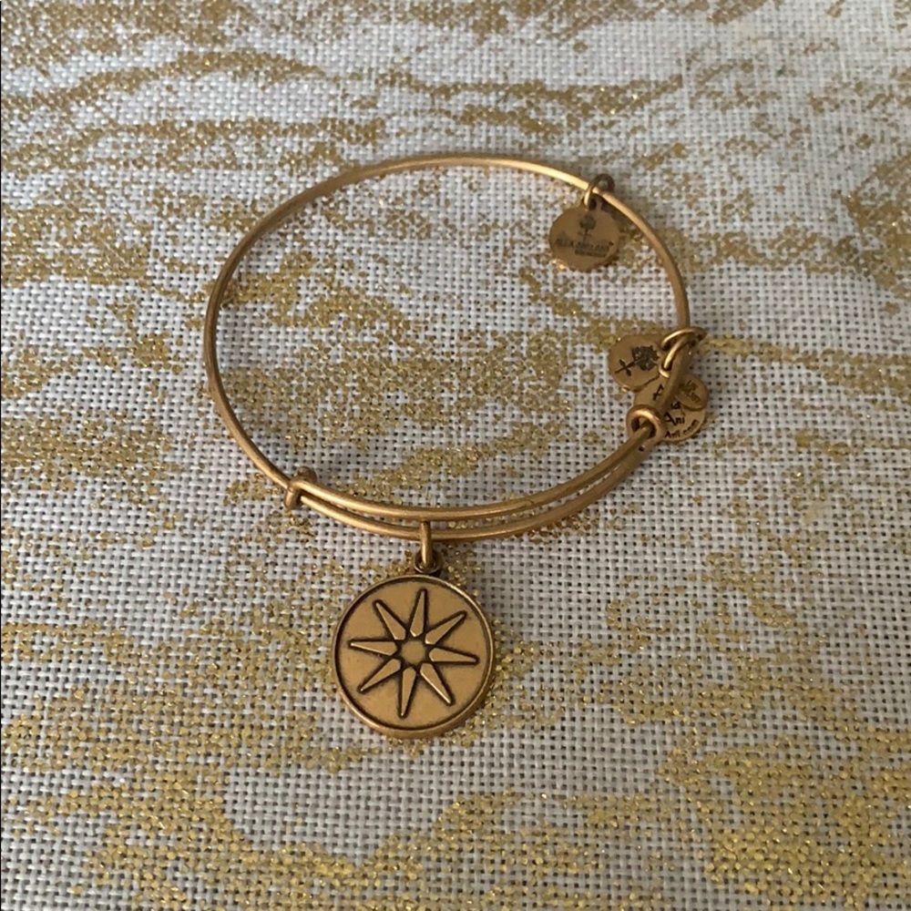 Alex and Ani Charm Bracelet
